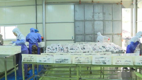 節后復工忙 東山這些產品訂單已火爆